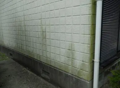 緑色の汚れ画像